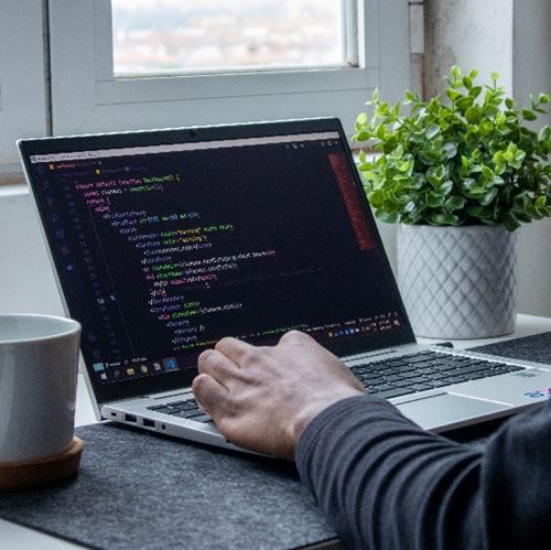 Website Development